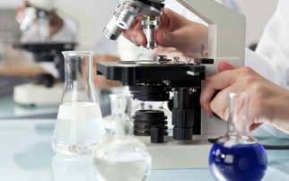 大連新圖聞科技 專業網站建設與制作服務指南