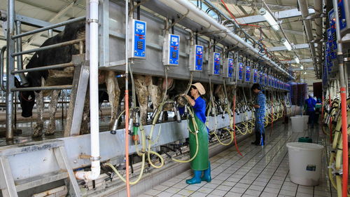 服務下鄉鎮 科技到地頭 科特派助力廣西鐘山農民增收
